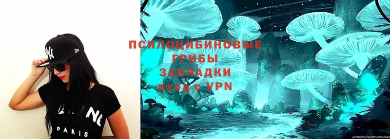 OMG как войти  Обнинск  Галлюциногенные грибы Psilocybe 